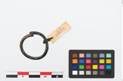 Foto von Bronzering (NHMW-PRAE-024709)
